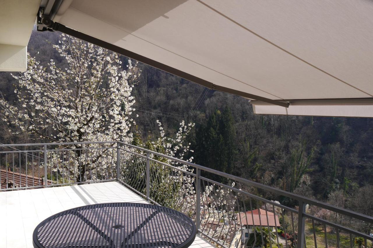 Casa Colmegna Mit Traumhaften See- Und Bergblick Luino Exterior foto